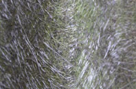 Portlethen fibreglass roof work